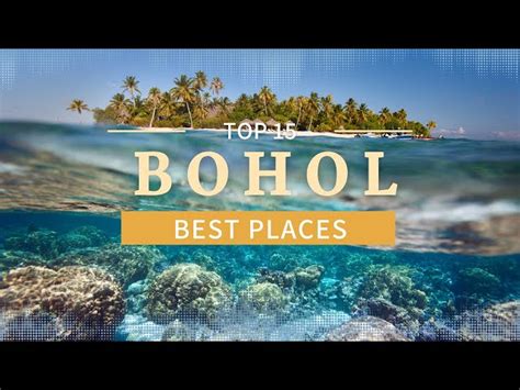 best bars in bohol|25 Best Things To Do In Bohol, Philippines [2024].